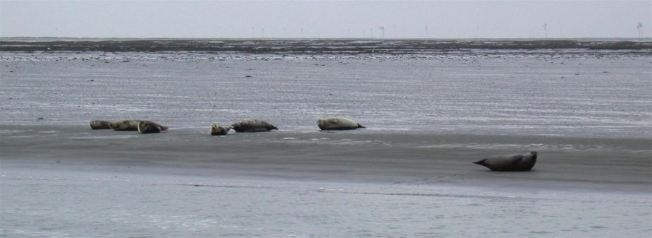 Schullandheim Ratsgymnasium Bielefeld