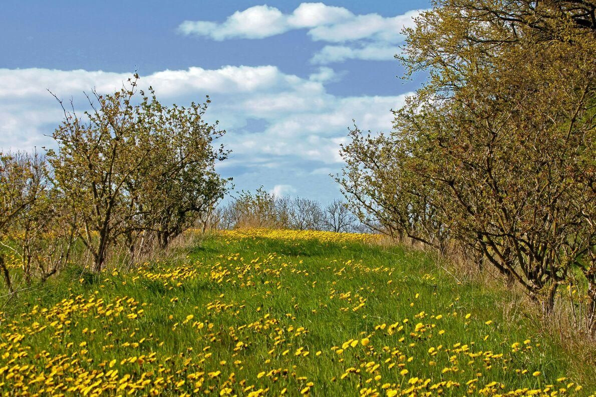 Naturerlebnishof-Helle