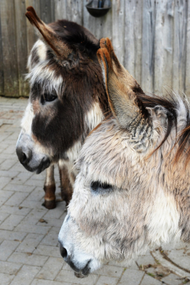 Naturerlebnishof-Helle