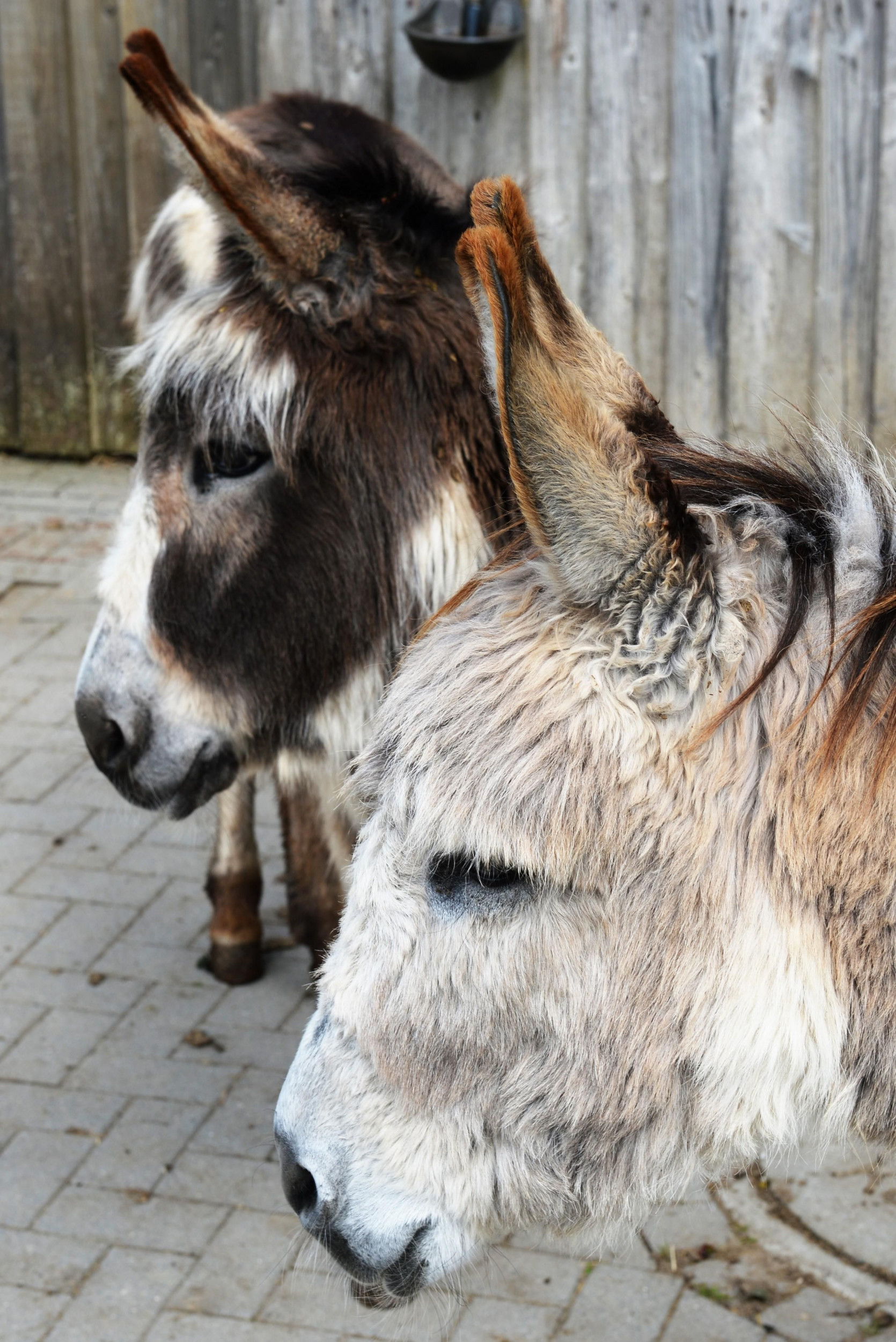 Naturerlebnishof-Helle