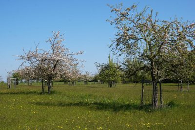 Naturerlebnishof-Helle