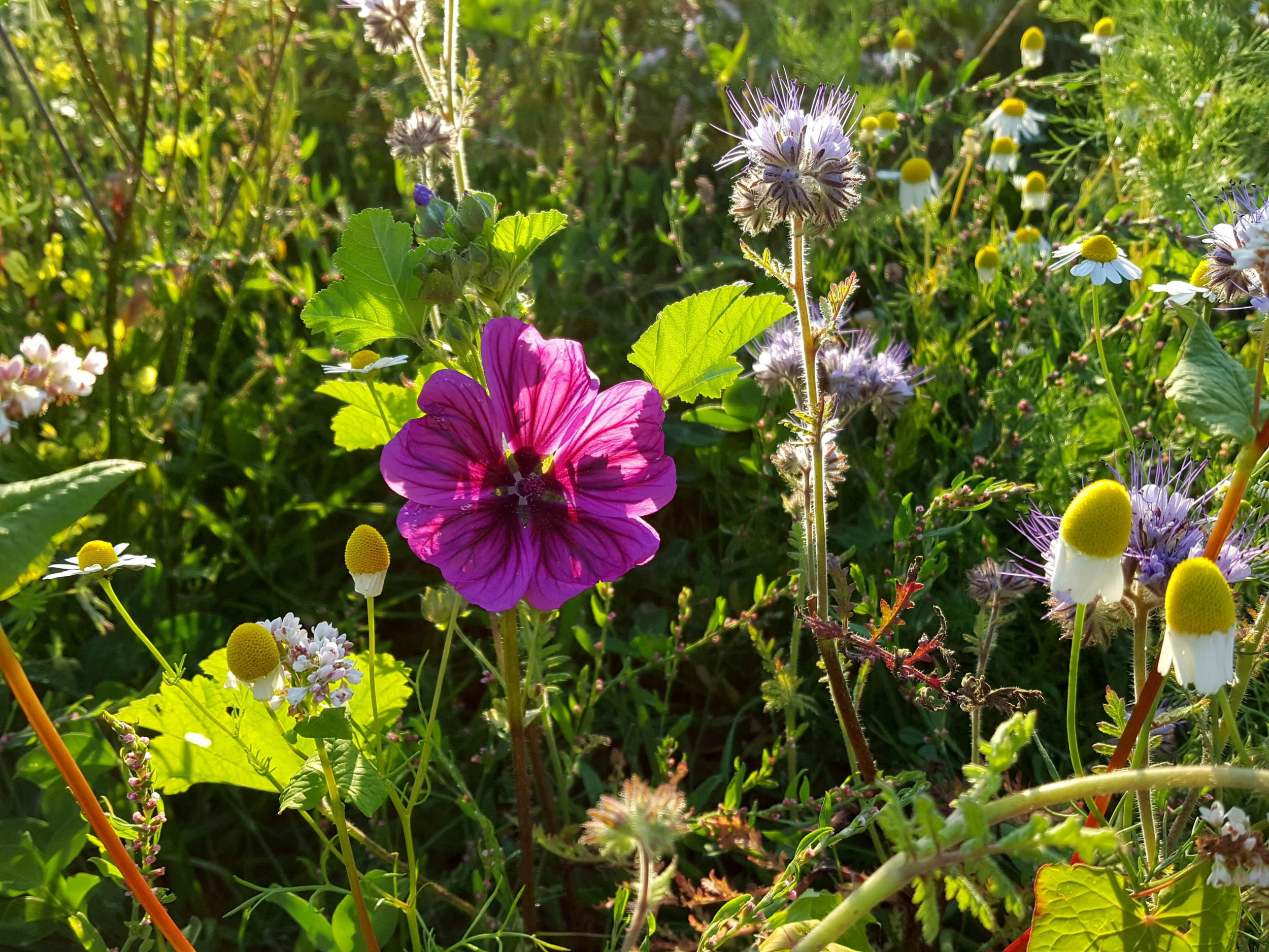 Naturerlebnishof-Helle