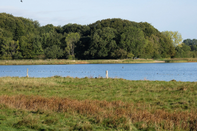 ADS - Schullandheim Ulsnis