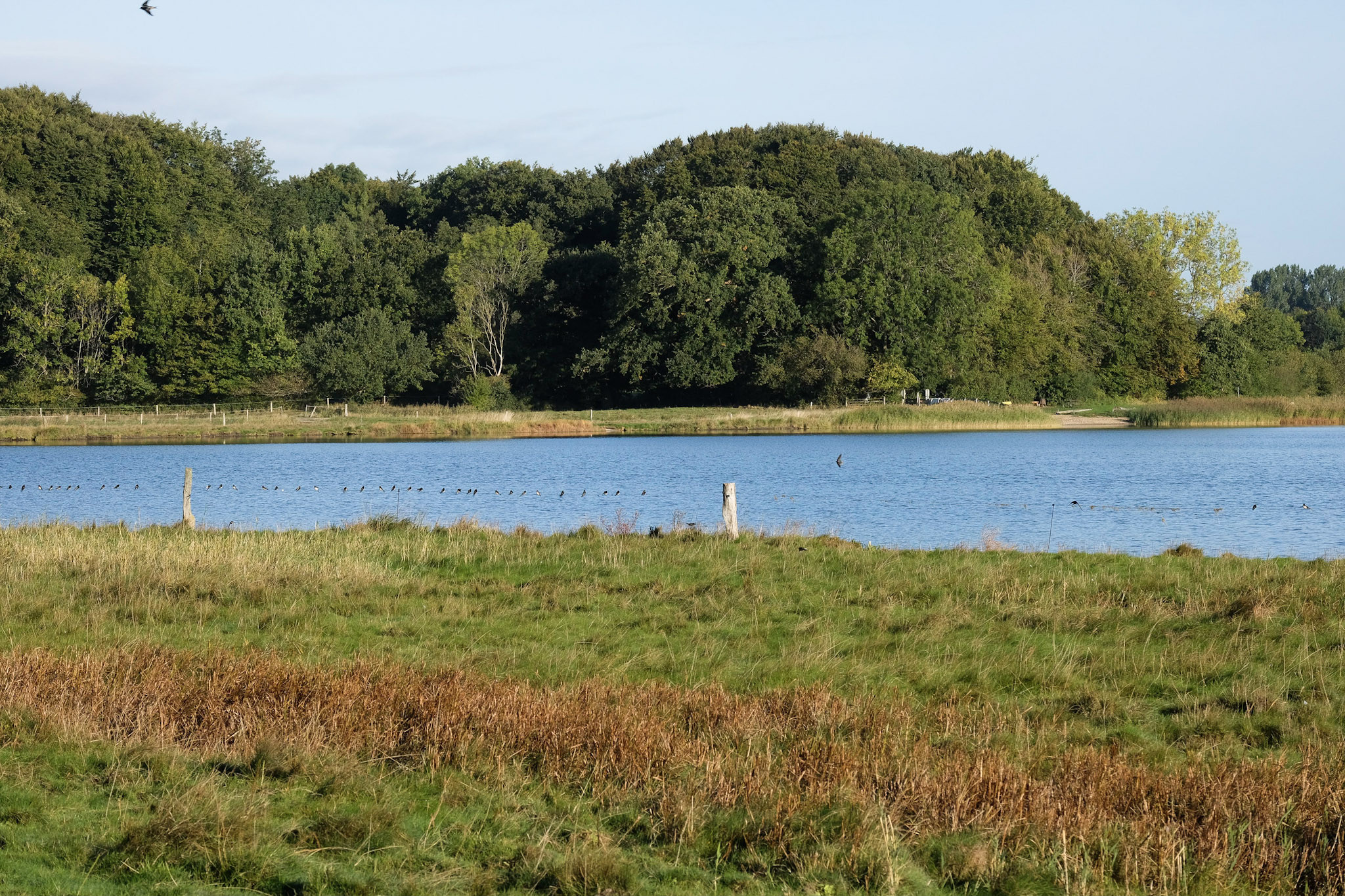 ADS - Schullandheim Ulsnis