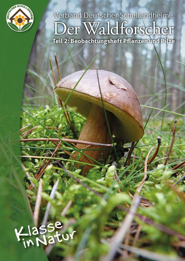 Der Waldforscher Teil 2: Pflanzen und Pilze